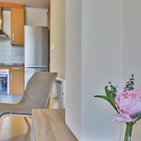 Apartagal-oceano V * 바헤이로스